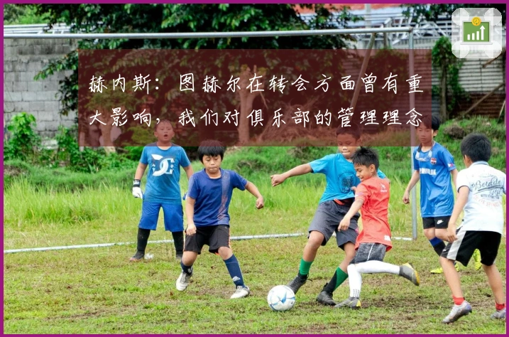 赫内斯：图赫尔在转会方面曾有重大影响，我们对俱乐部的管理理念存在差异
